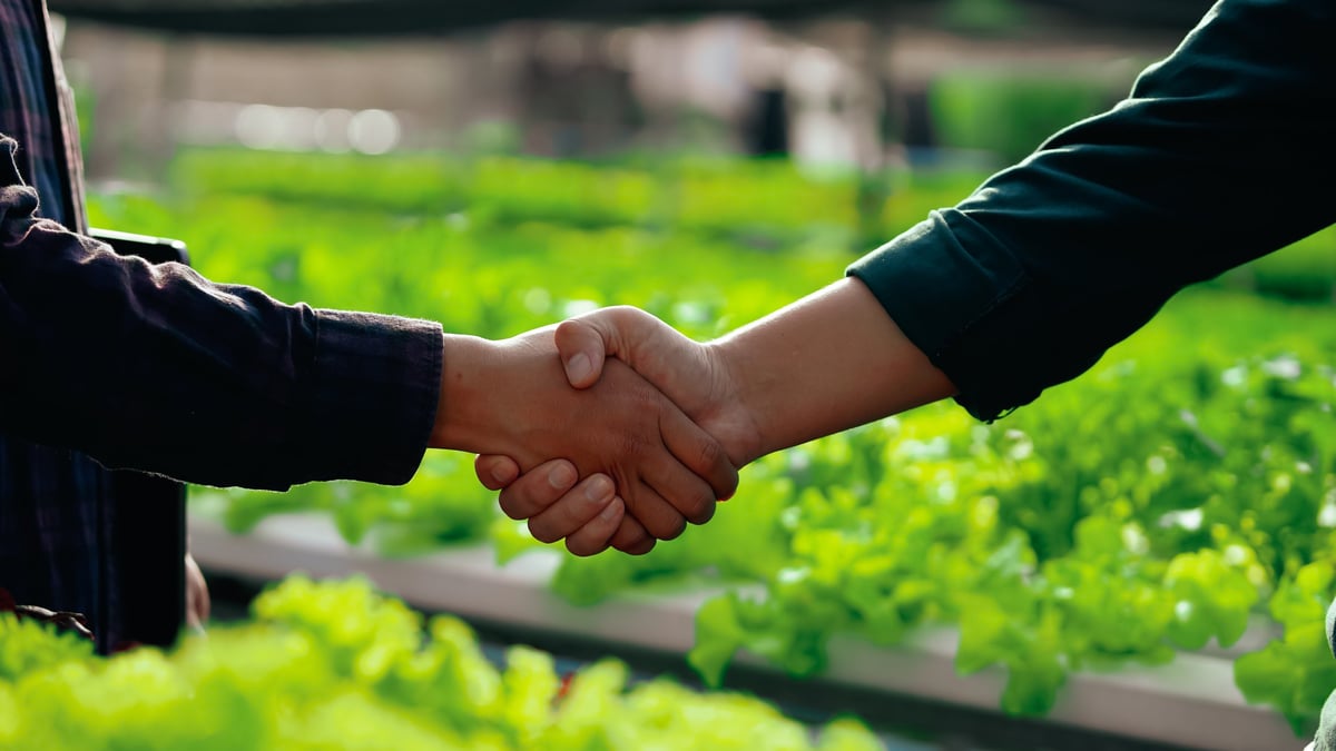 Two farmers shaking hands in a green vegetable farm, symbolizing partnership, trust, and sustainable agriculture
