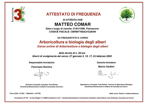 Italian certificate of attendance for online arboriculture and tree biology course completed by Matteo Comar in February 2025